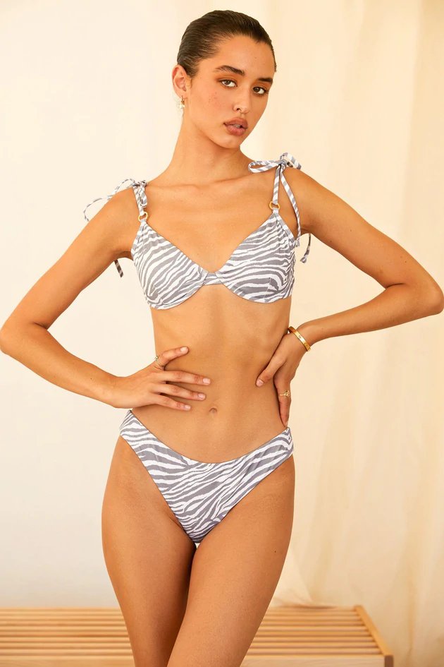 Zebra Print Bikini